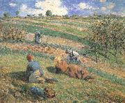 Camille Pissarro Field work France oil painting artist